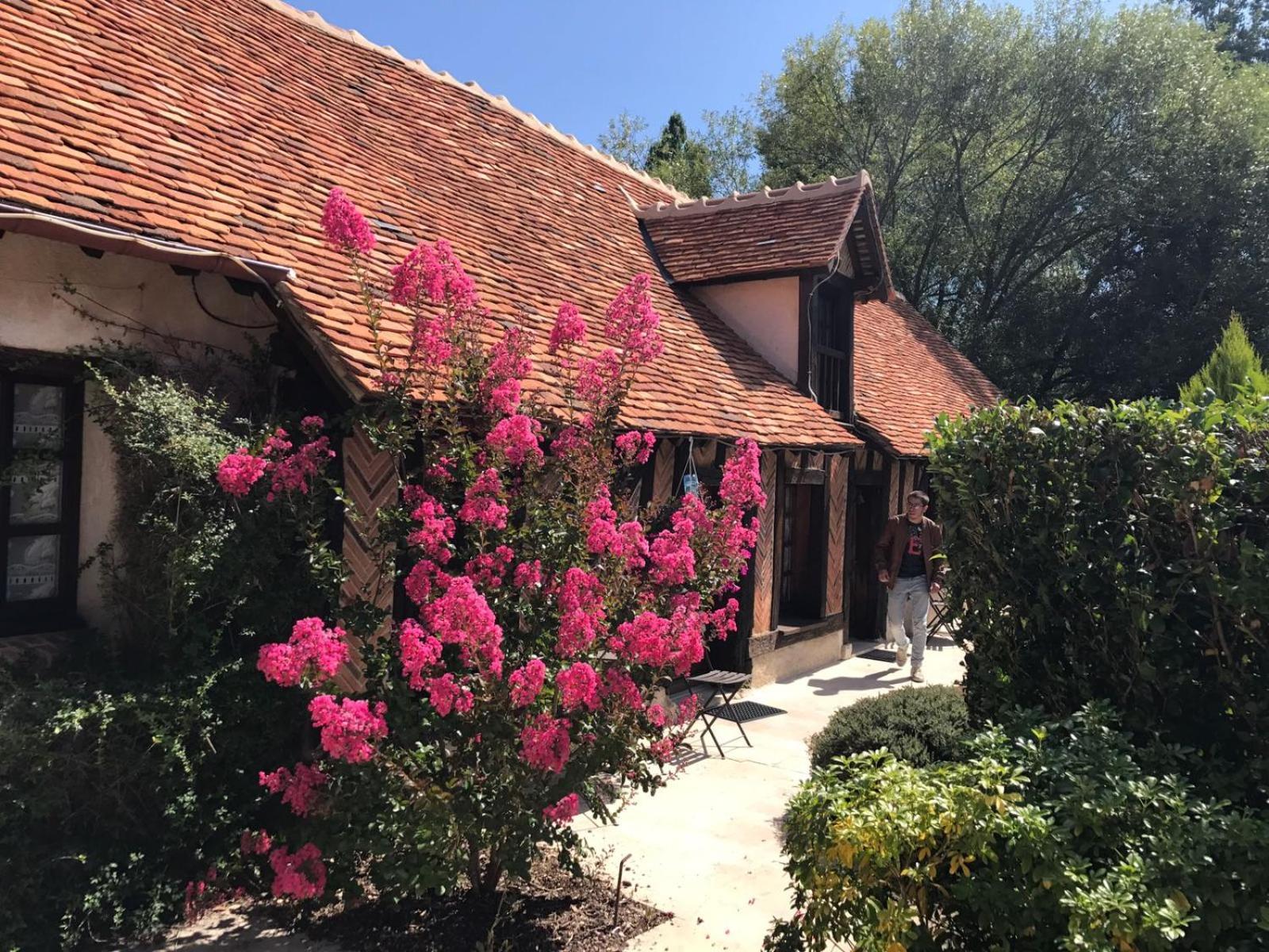 Domaine De Grand-Pas Villa Vernou-en-Sologne Екстериор снимка