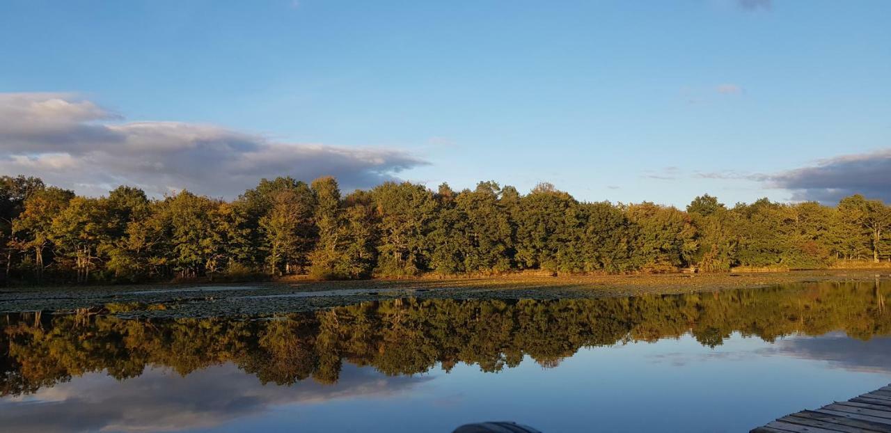 Domaine De Grand-Pas Villa Vernou-en-Sologne Екстериор снимка